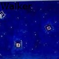 LoisVWalker